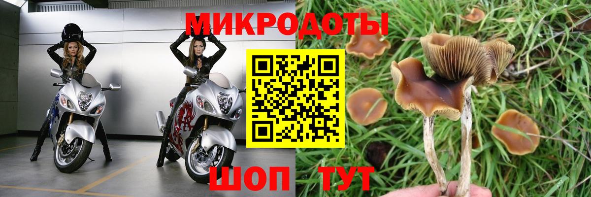 Псилоцибиновые грибы прущие грибы Улан-Удэ