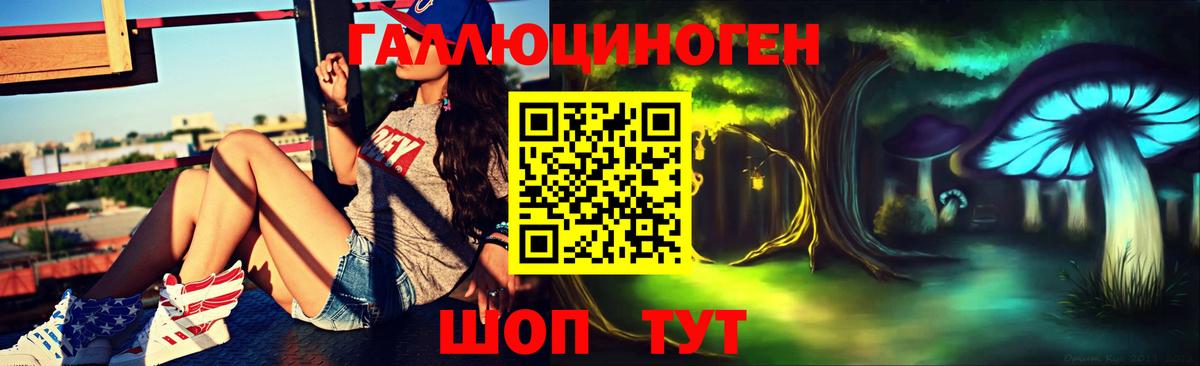 Псилоцибиновые грибы Cubensis  Галлюциногенные грибы ЛСД  Улан-Удэ  Вход с VPN 